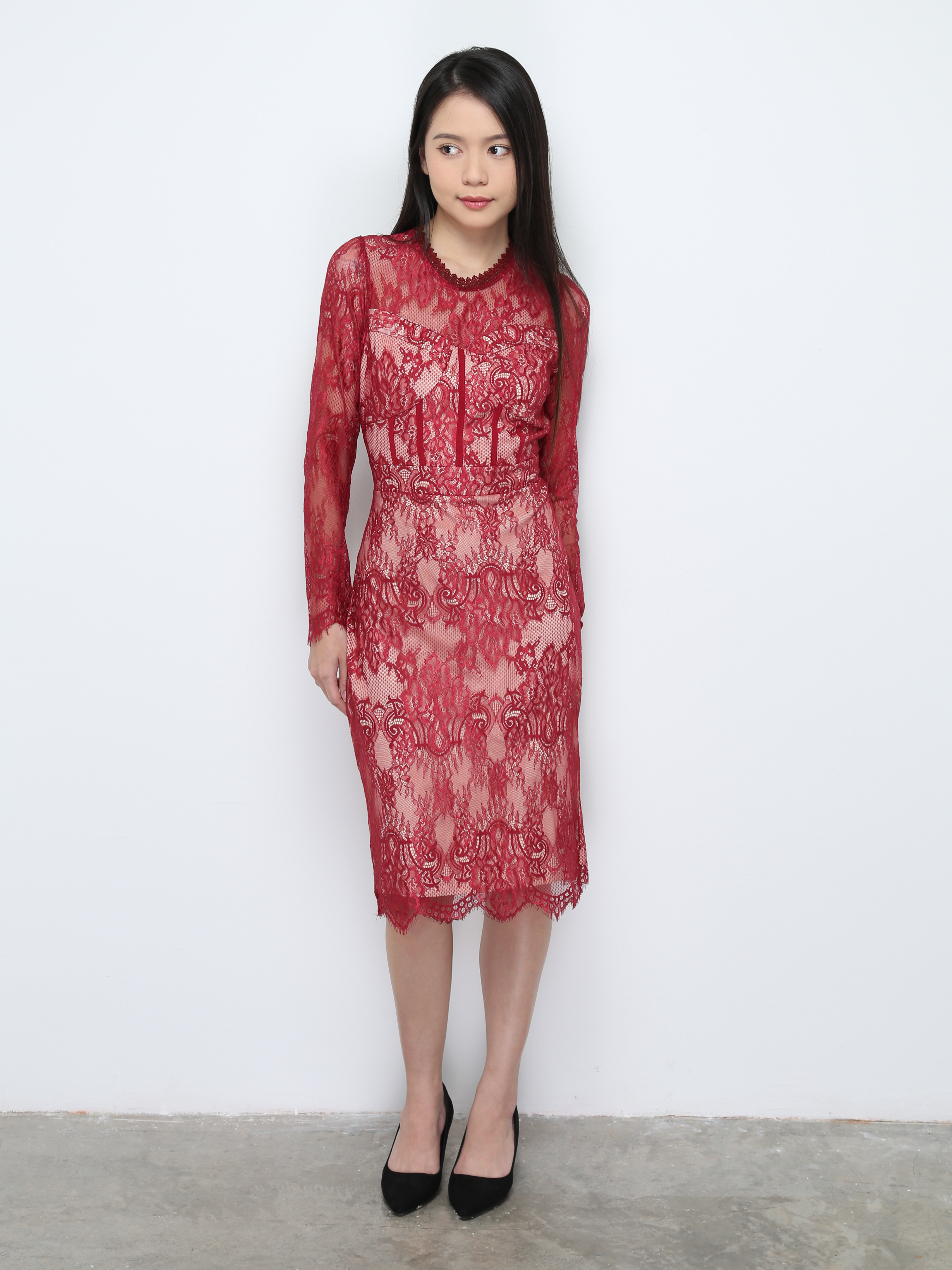 Lace Long Sleeve Elegant Dress 27462