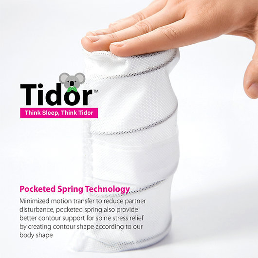 Tidor Mattress 13英寸乳胶床褥