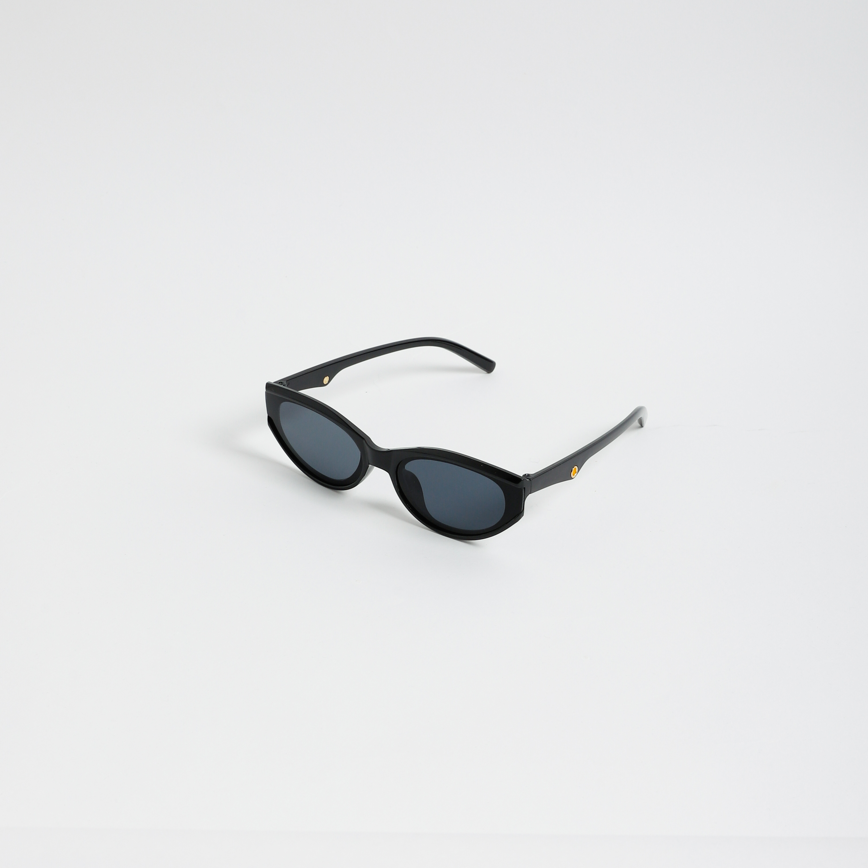 Sunglasses SP3561