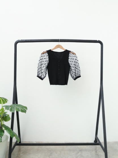Polka Dot With Transparent Sleeve Top 14729