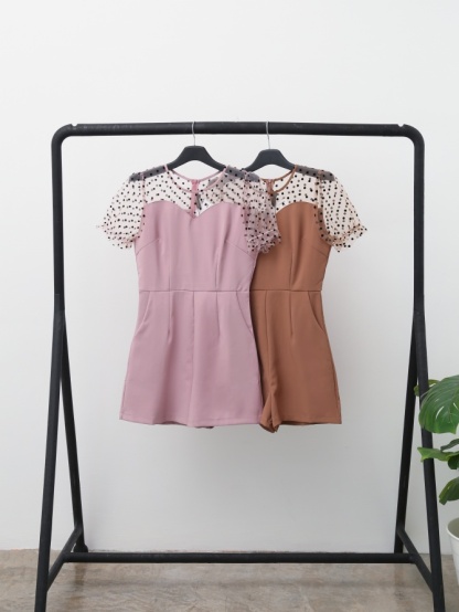 Transparent Polka Dot Sleeve With Neckline Jumpsuit 15334