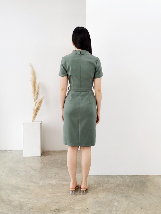 Formal Front Button Collar Dress 24868