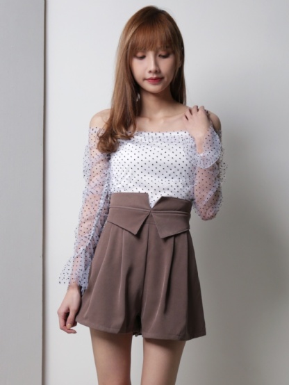Polka Dot Long Sleeve Transparent Sleeve Top 18416