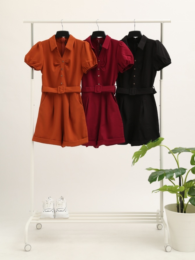 Collar V Neck With Belt Jumpsuit 24092