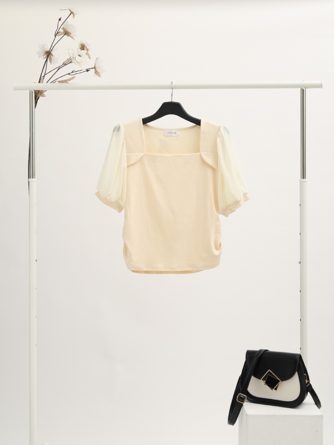 Puff Transparent Sleeve With Basic Plain Top 16542