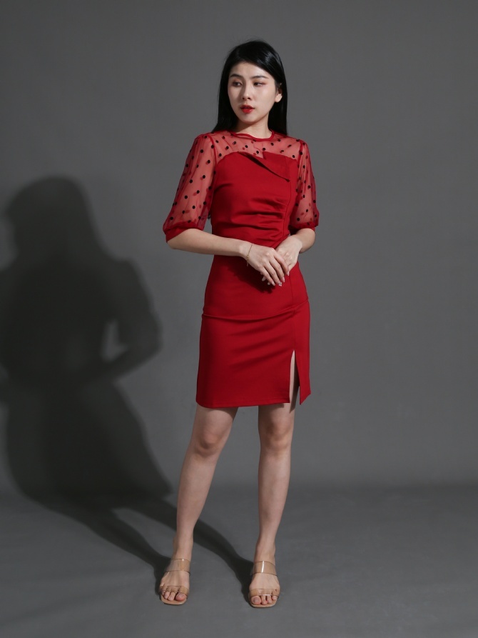 Polka Dot net Neckline Dress 25914