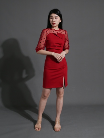 Polka Dot net Neckline Dress 25914