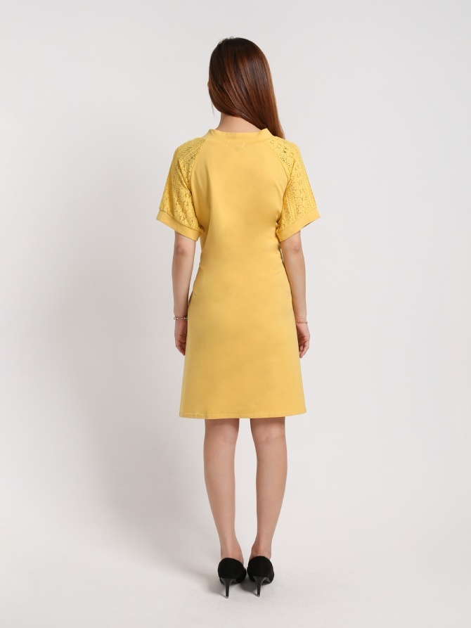 Detailed Lace Dress 17077