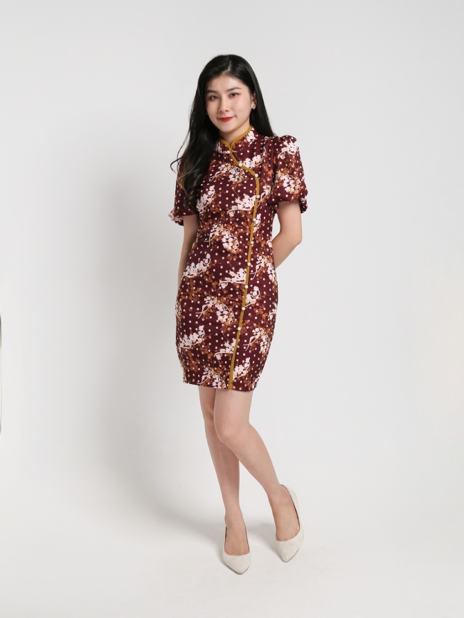 Mandarin Collar Puff Sleeve Fake Button Dress 17859