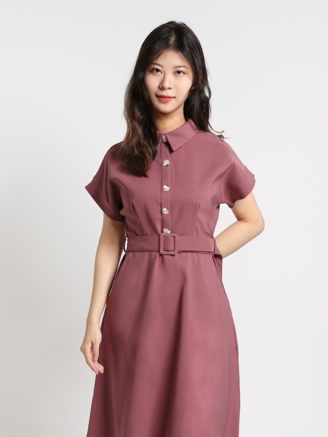 Collar Front Button Dress With Belt 16734