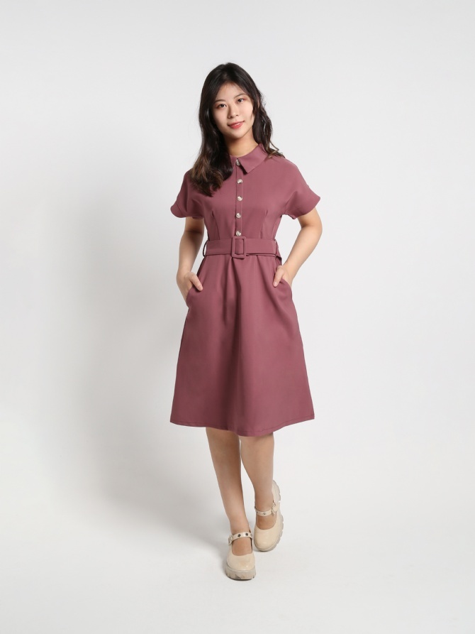 Collar Front Button Dress With Belt 16734