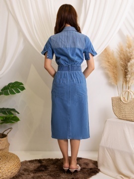 Denim Collar Dress 11721