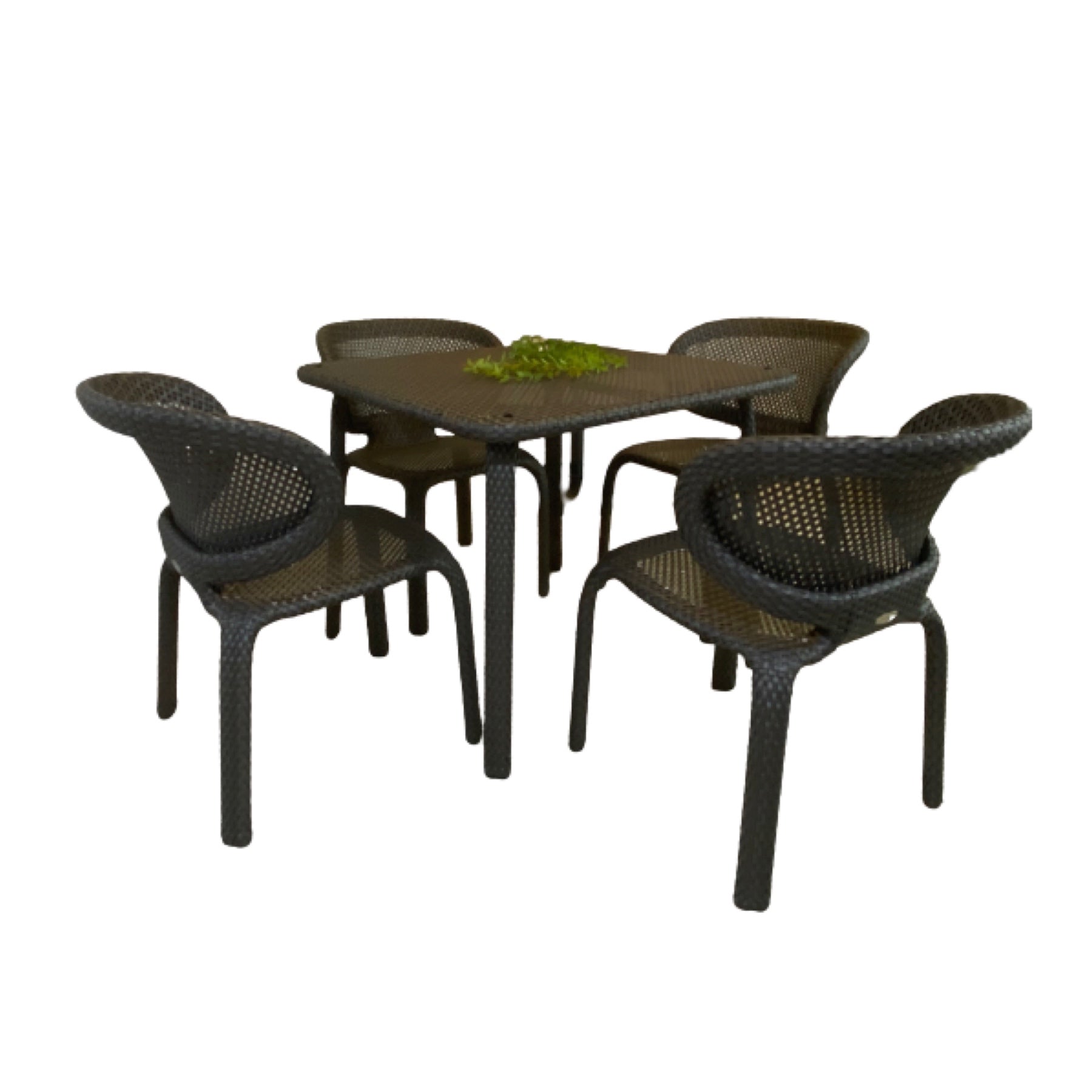 TRO43001 OHMM® Calico Collection