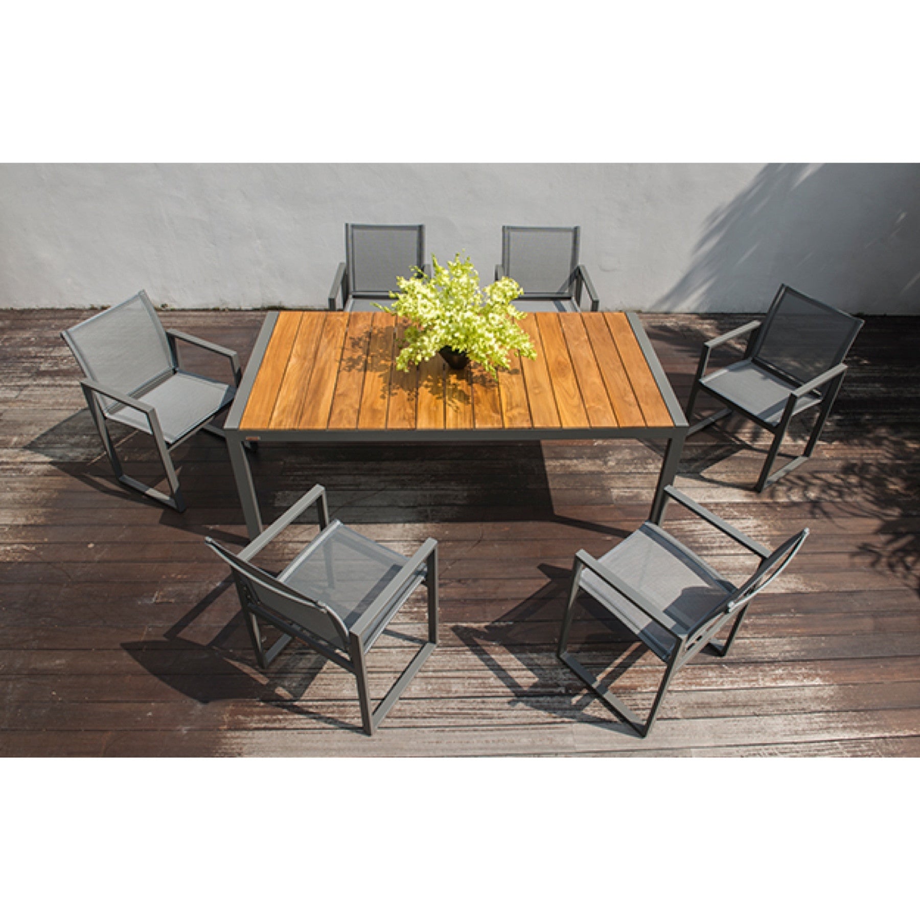 TRO39001 OHMM® Latitudes Collection