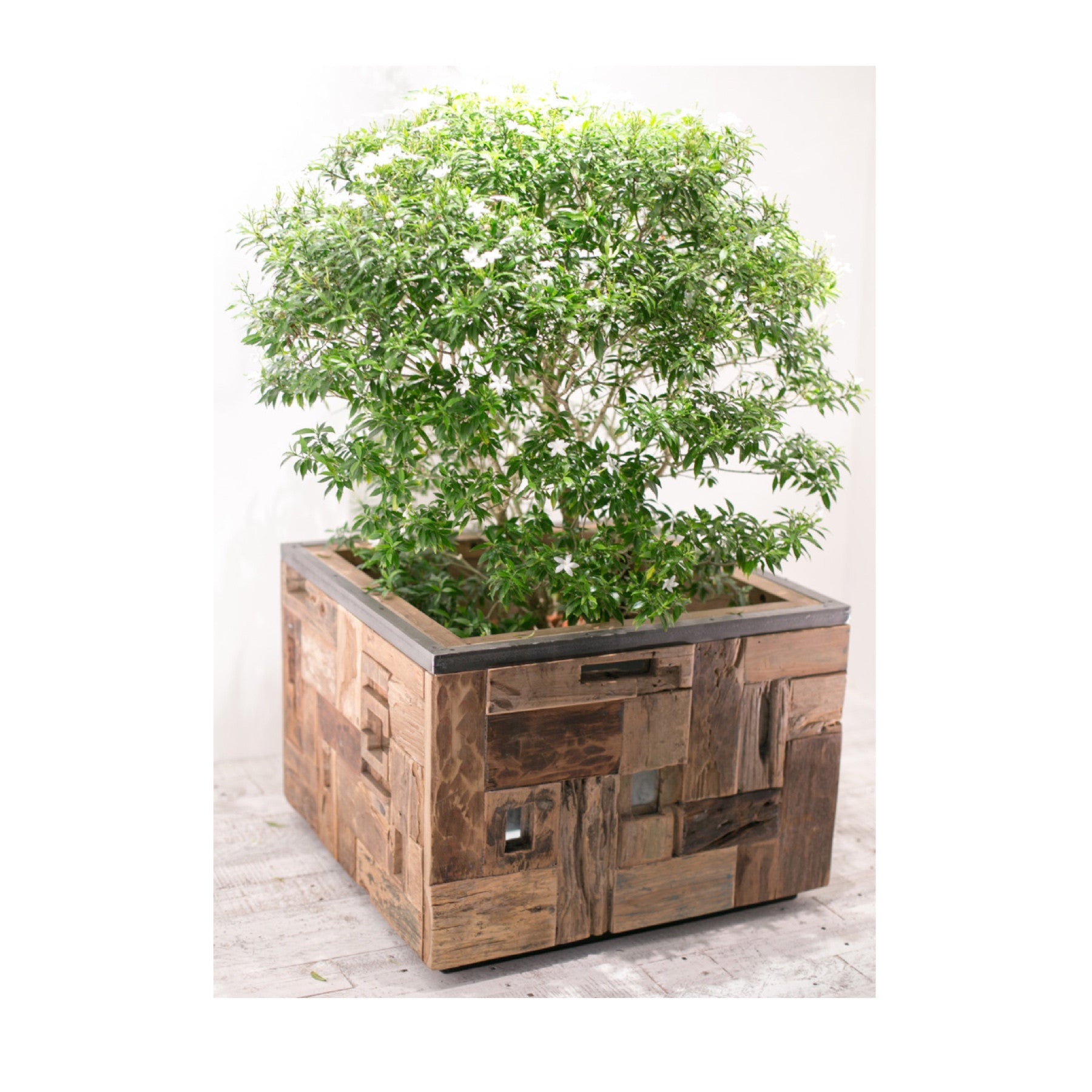 TRD10091 d-Bodhi® Planter Box