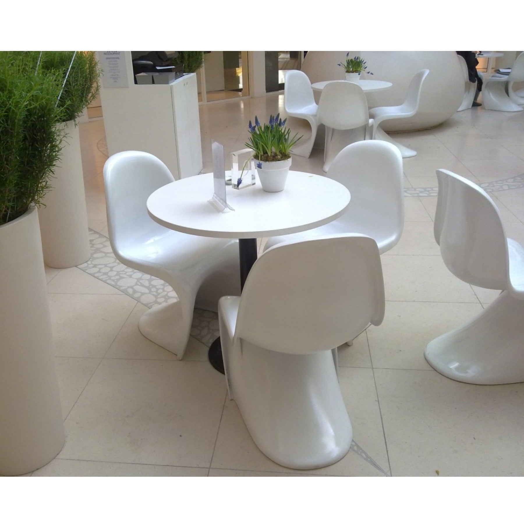 TR20022 Pantone Chair