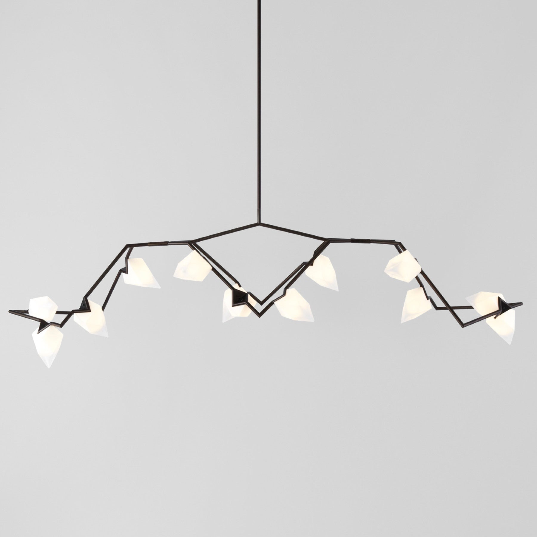 TR80048 Seed Style Chandelier series