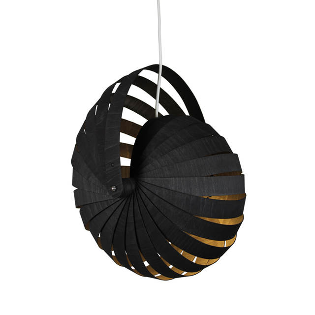 TR80145  Nautilus Style Pendant Lamp