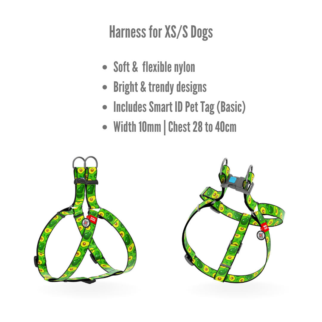 Small Pet Harness | Free ID Pet Tag
