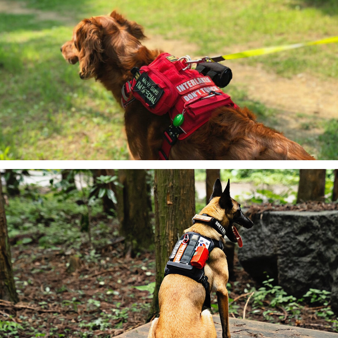 INTERLAKEN Custom Patch | Personalise