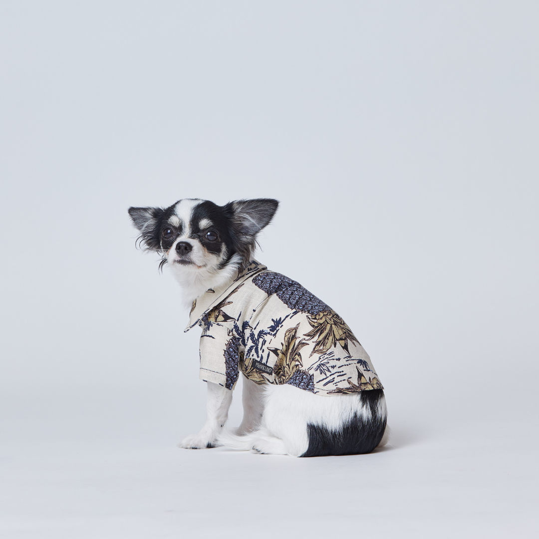 Hawaiian Shirt Pineapple