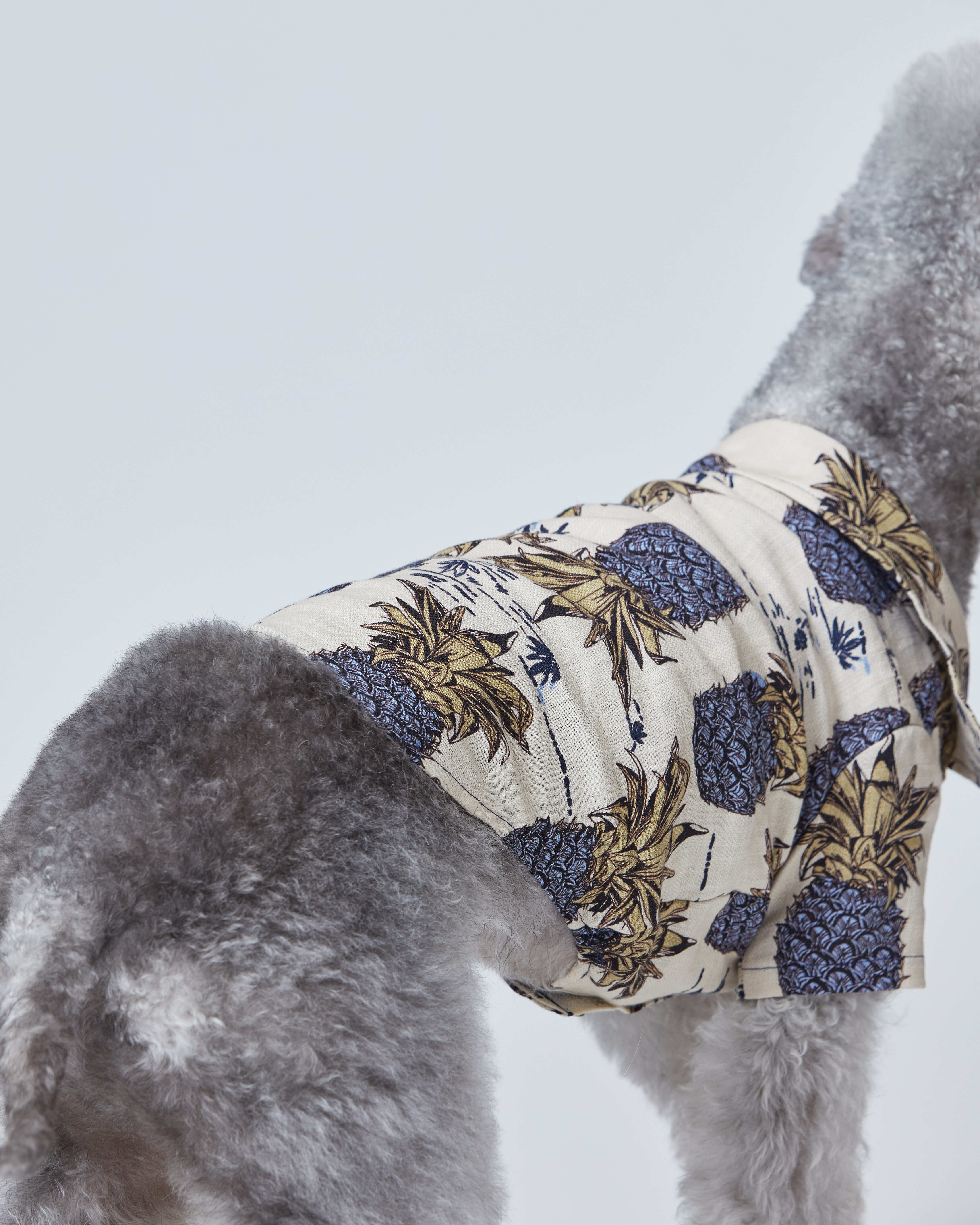 Hawaiian Shirt Pineapple