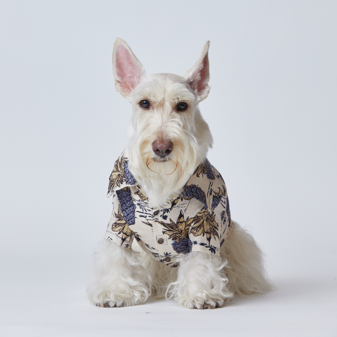 Hawaiian Shirt Pineapple