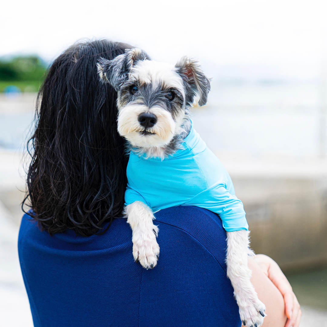 Sun Protection Suit Neon Blue