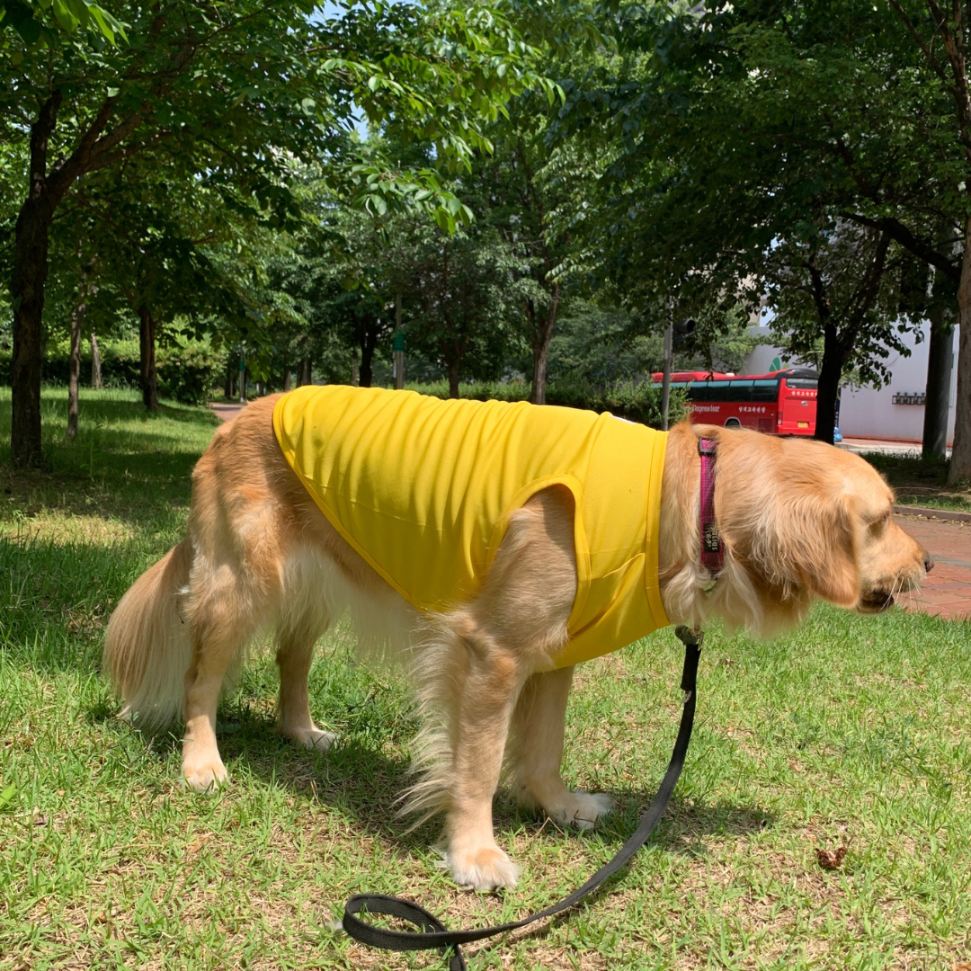 Macaron Cool Vest | Sun Protection