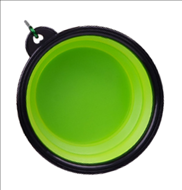 Collapsible Travel Bowl