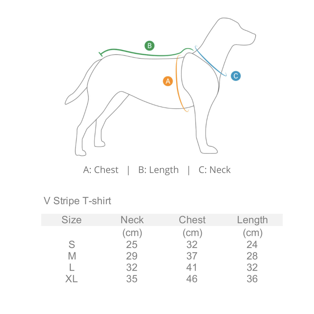 V Stripe T-Shirt