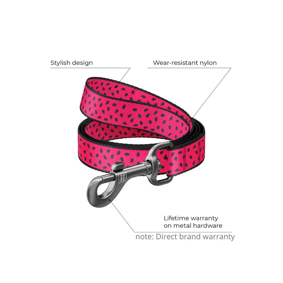Small Pet Leash