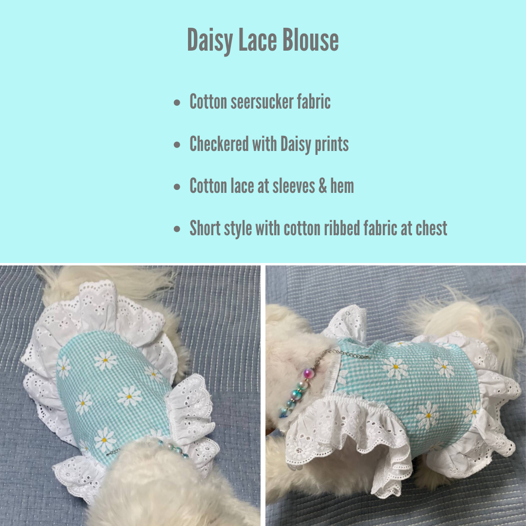 Daisy Lace Blouse
