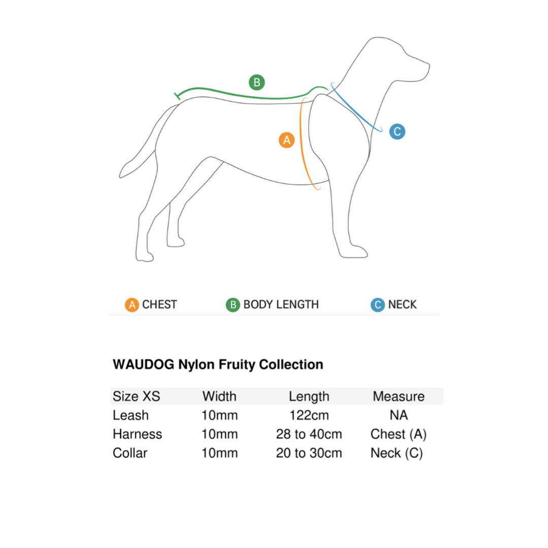 Small Pet Harness | Free ID Pet Tag