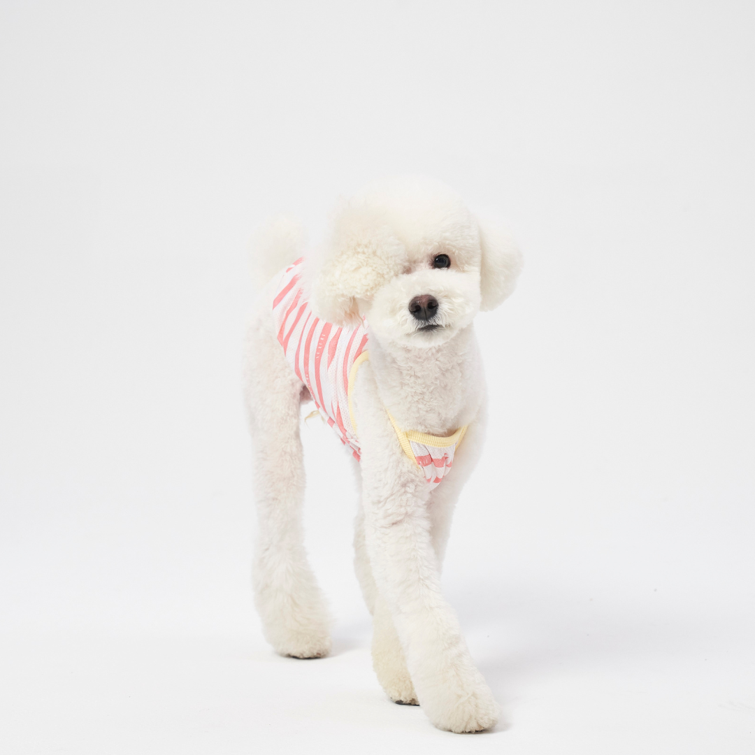 Cooling T-shirt | Insect Shield Coral