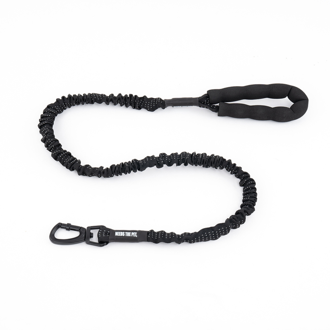 Bungee Leash
