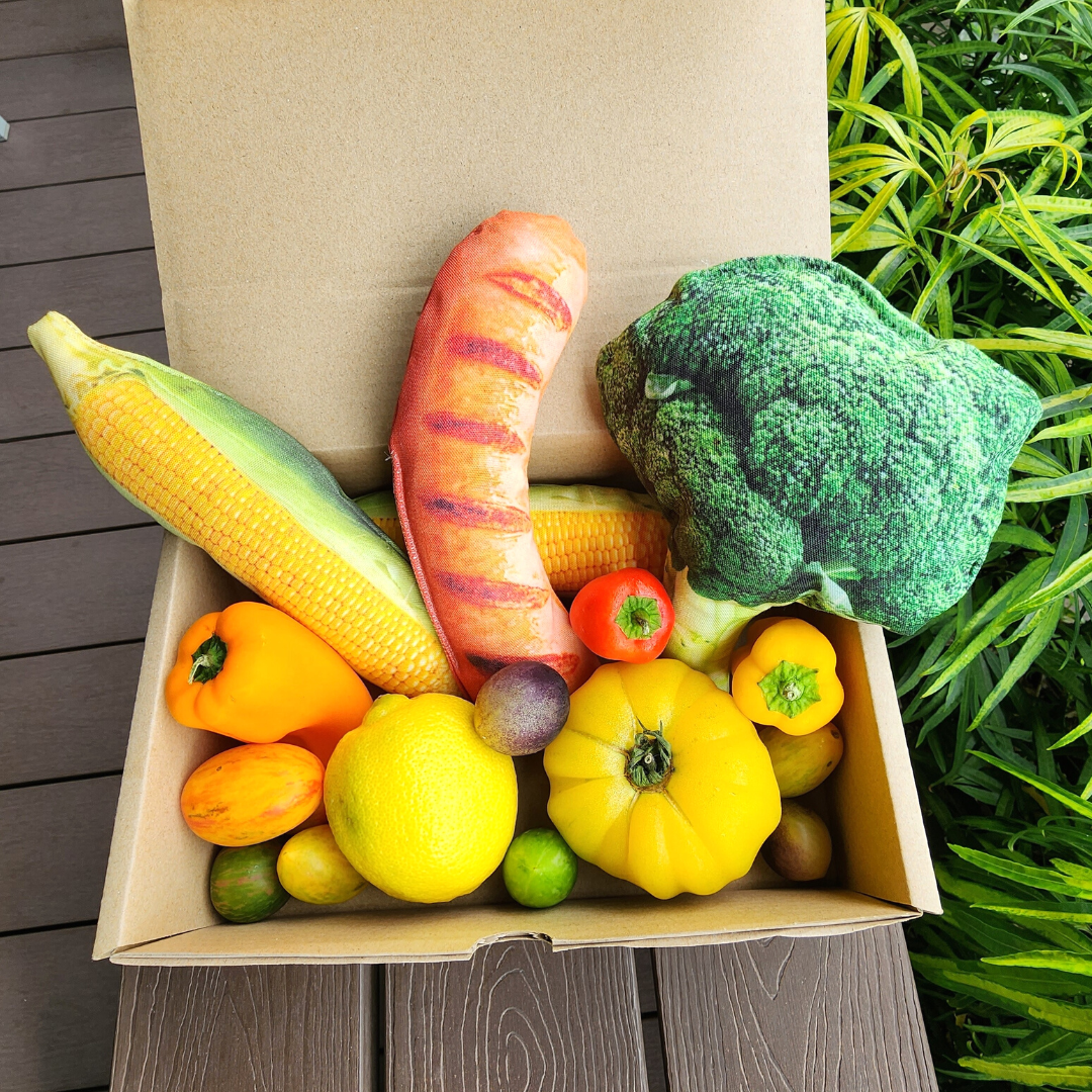 Lunch Box Squeaky Toy