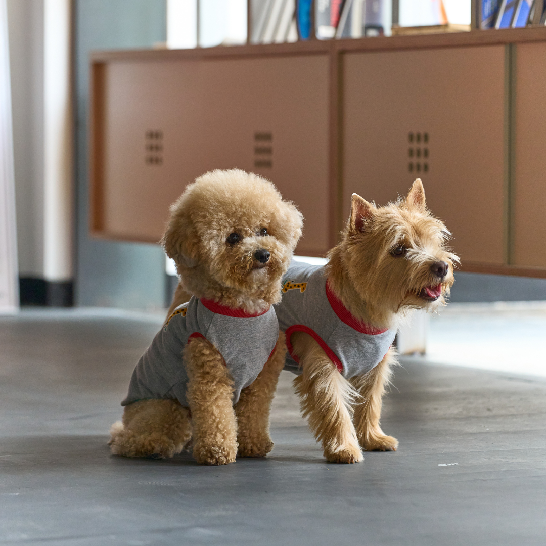 ffeffe Giraffe T-shirt