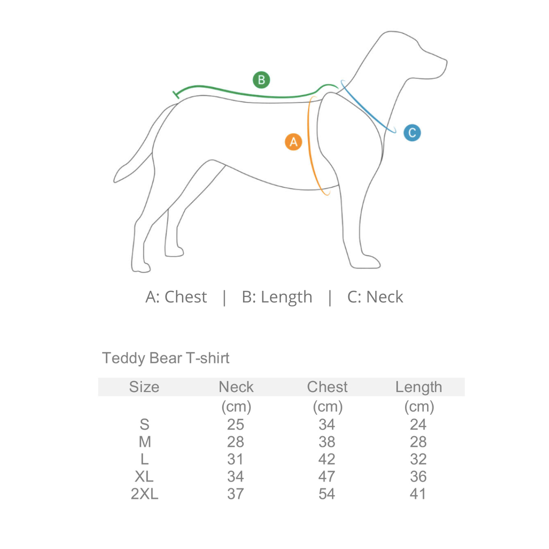 Teddy Bear T-Shirt