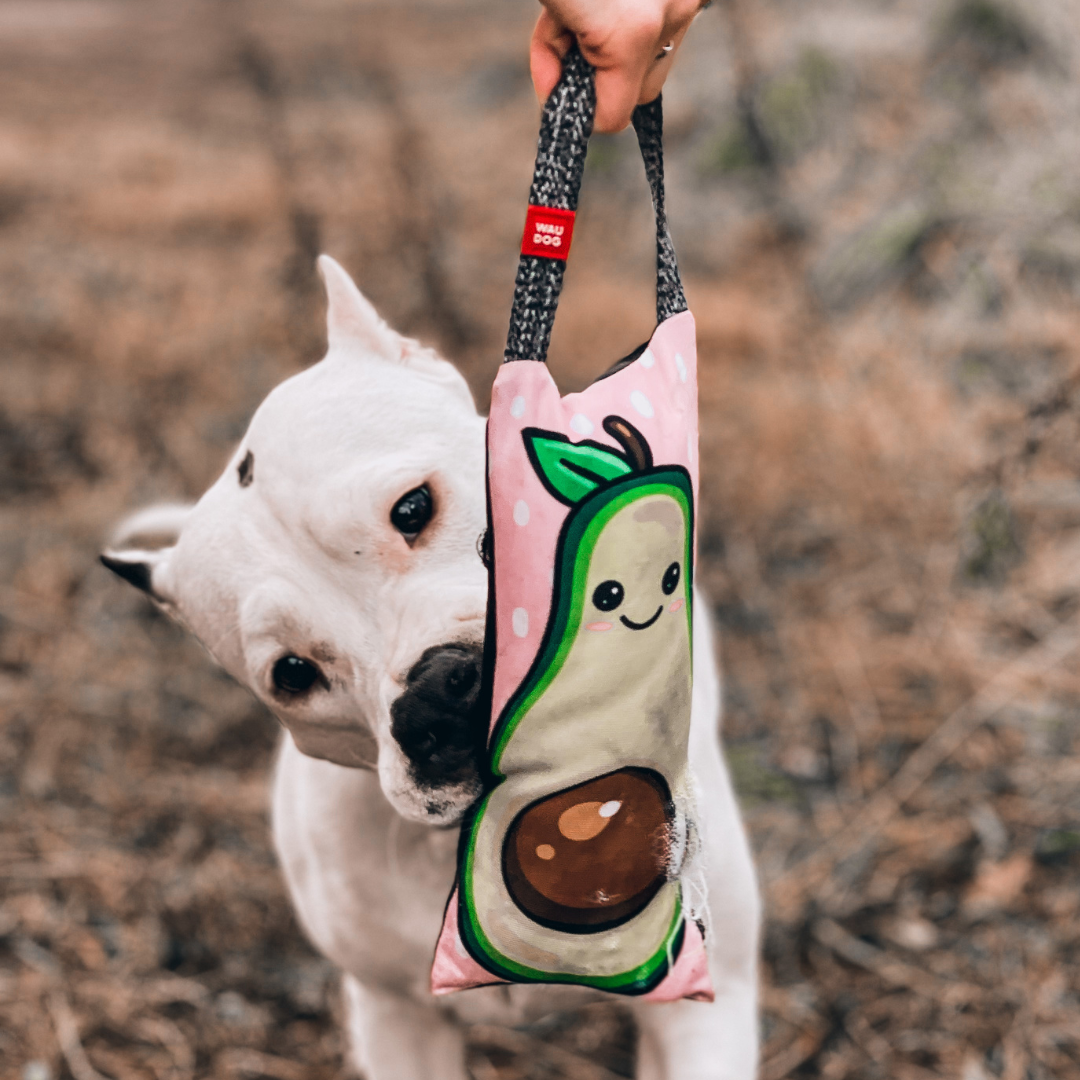 Squeaky Toy with Handle | Hypoallergenic