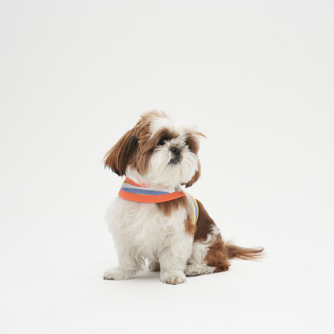 Lachu One Hole Crop T-shirt