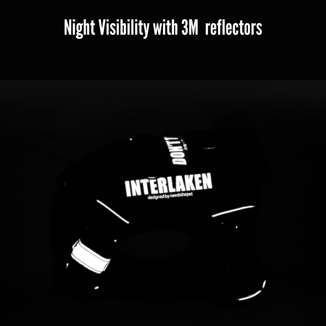 No-Pull Air Mesh Harness