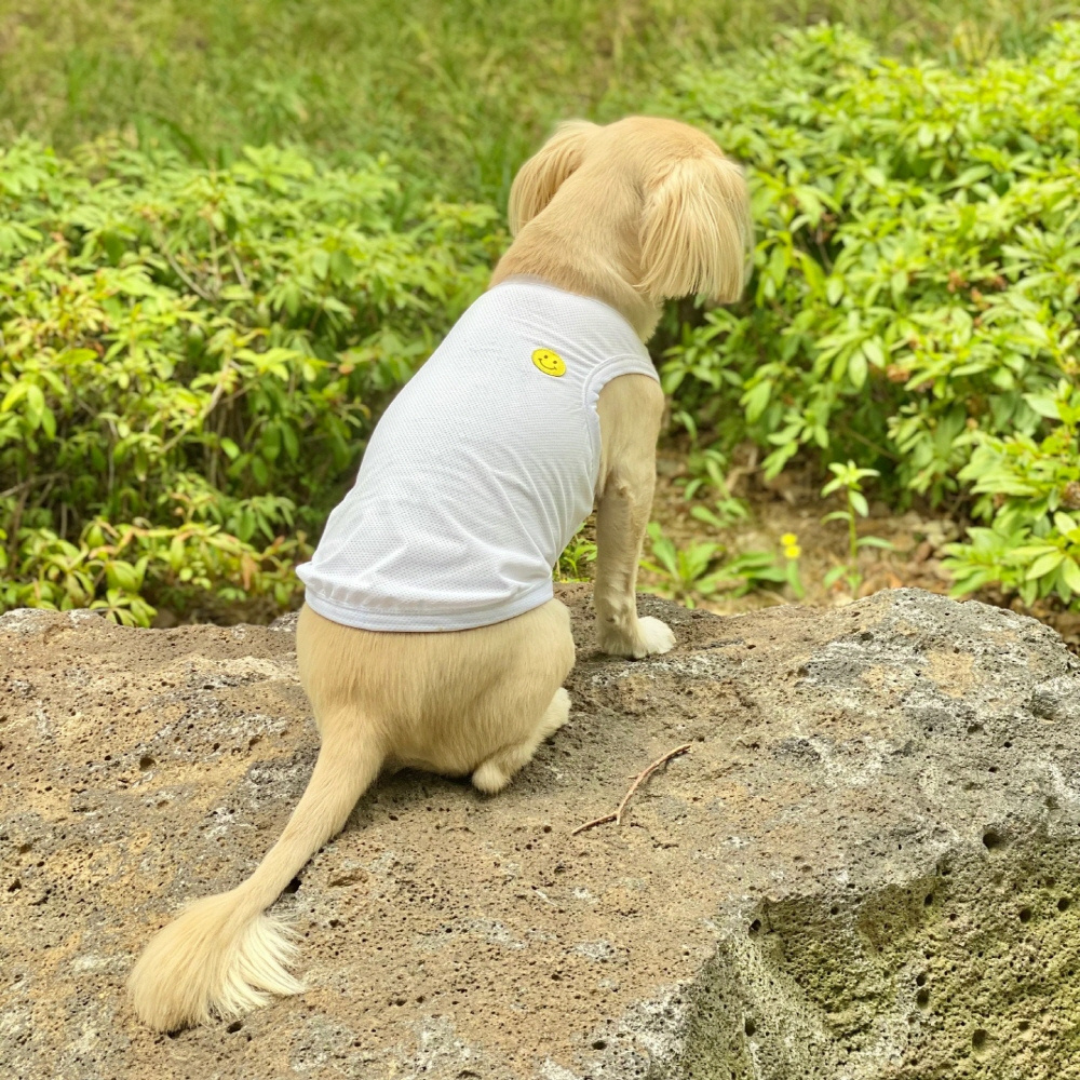 Smiley Cooling T-shirt | Sun Protection