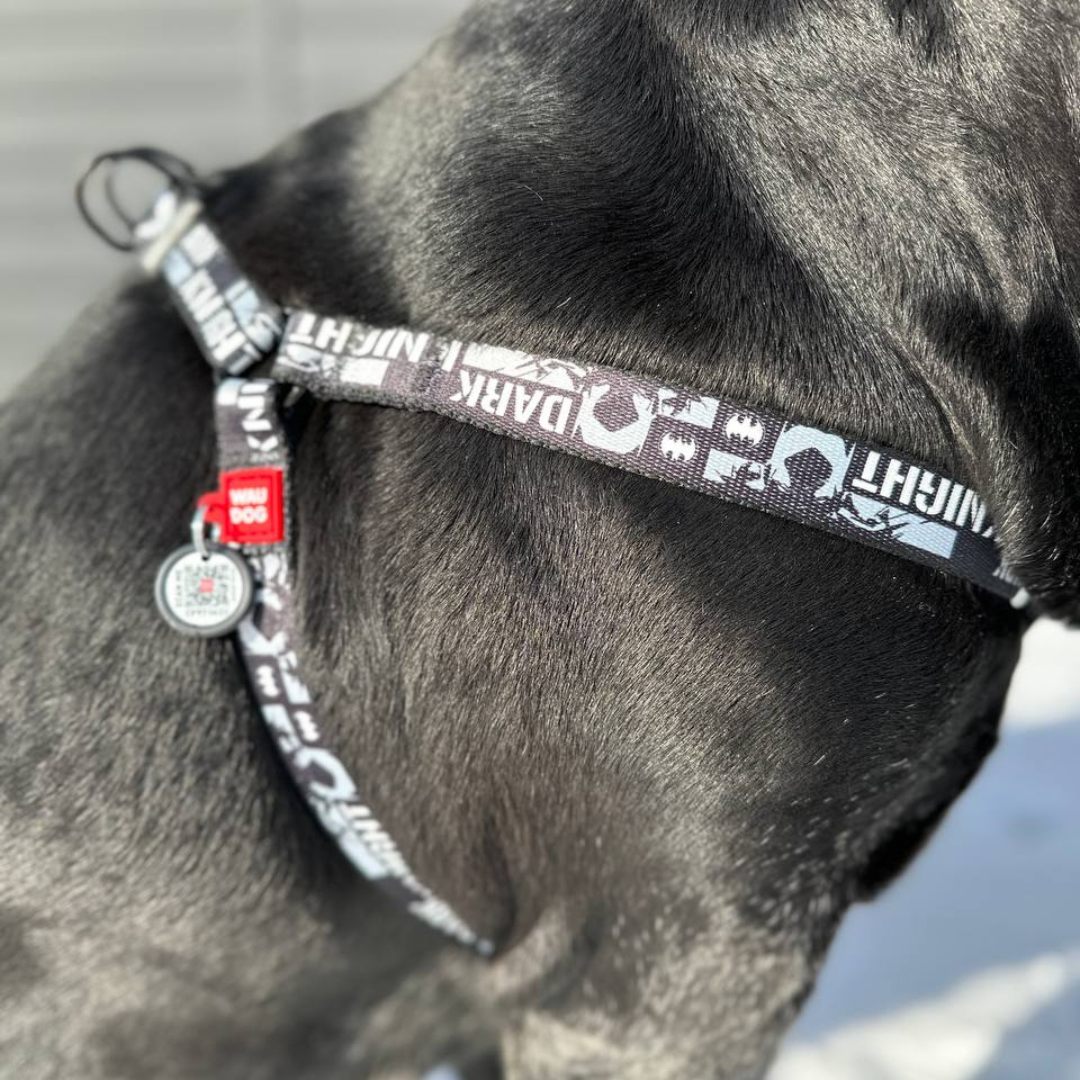 Strap Harness | Free ID Pet Tag