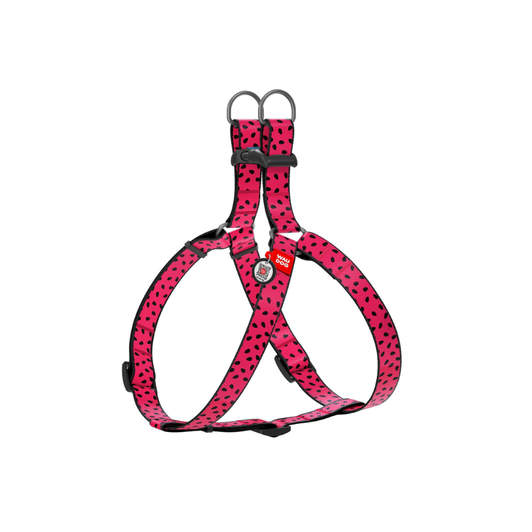 Small Pet Harness | Free ID Pet Tag