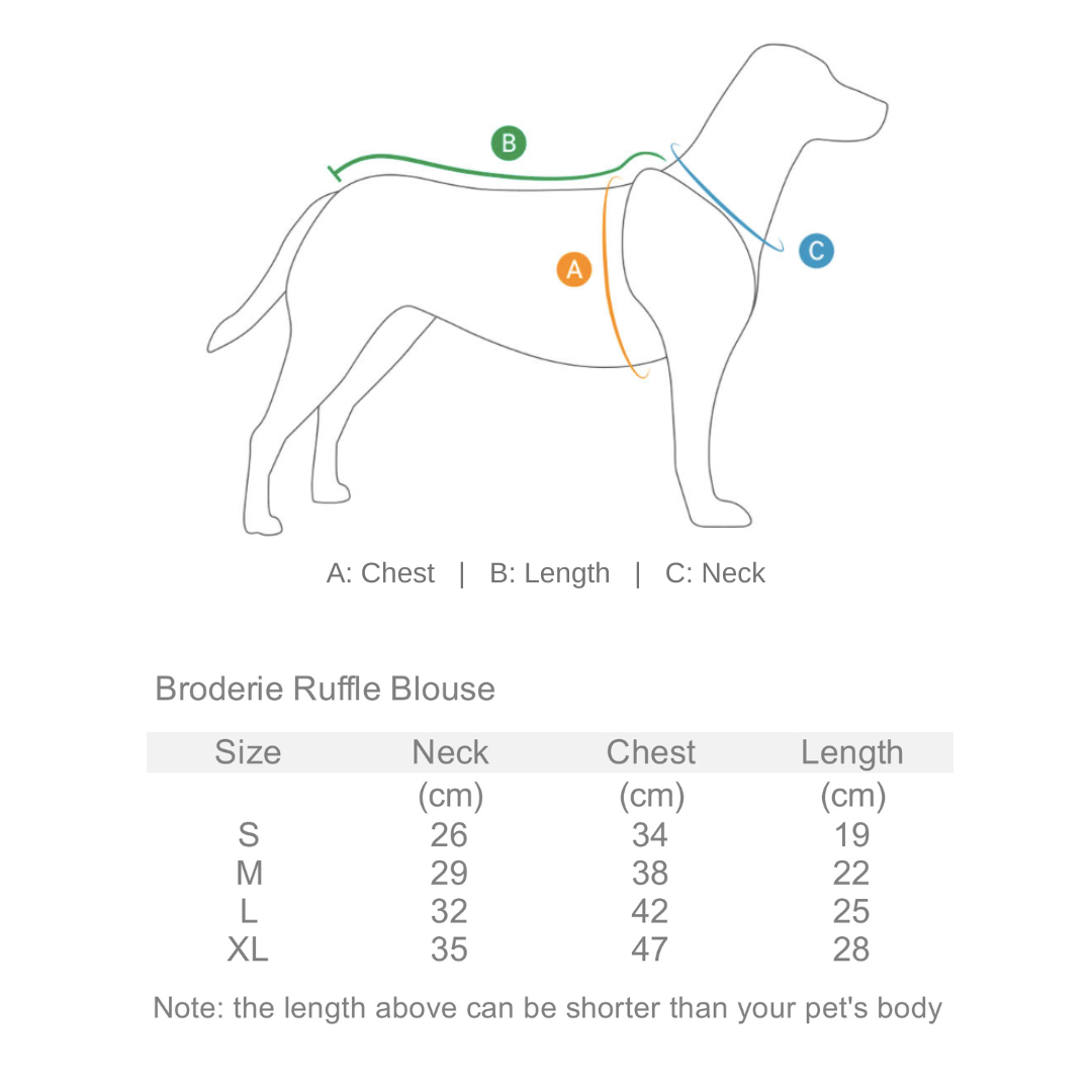 Broderie Lace Blouse