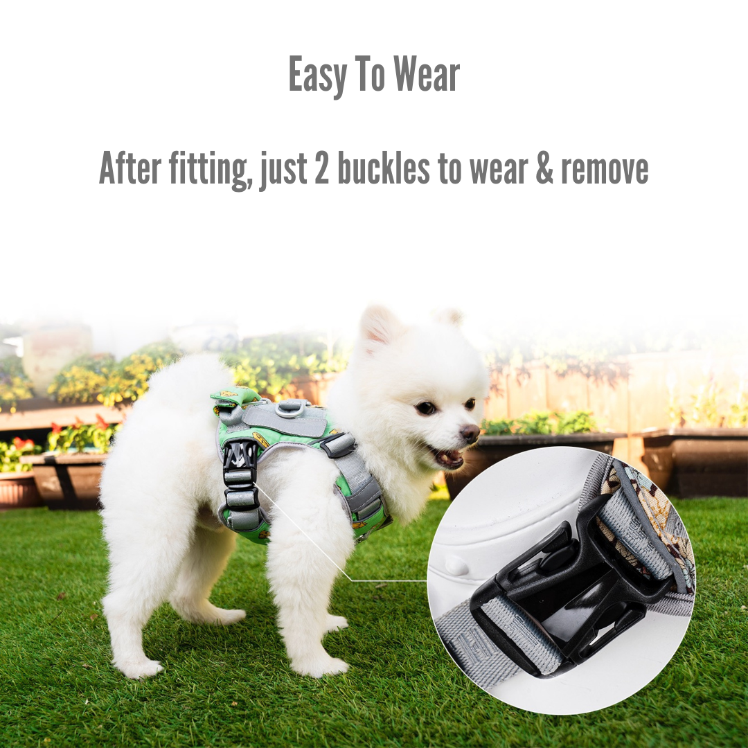 No-Pull Air Mesh Harness