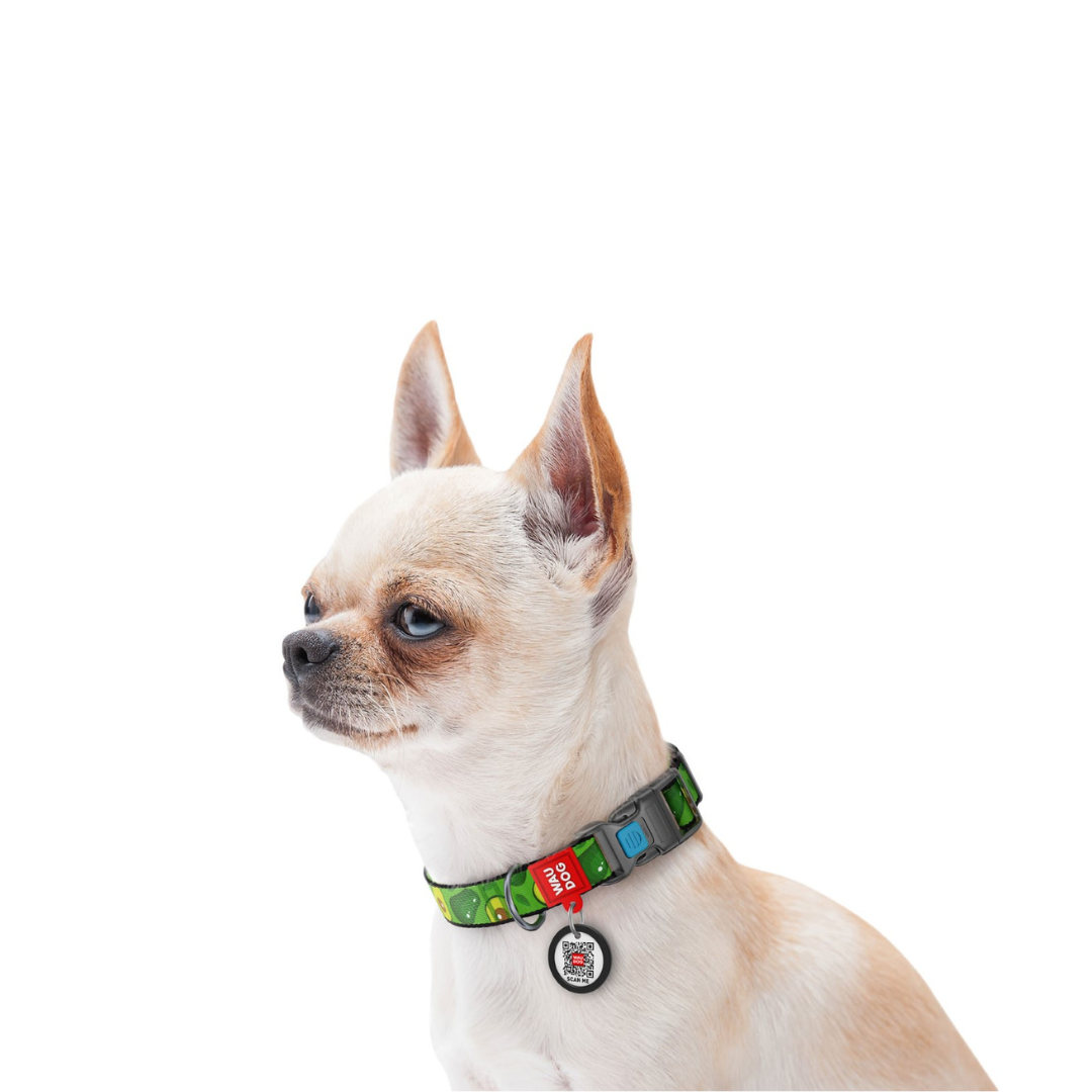 Small Pet Collar | Free ID Pet Tag