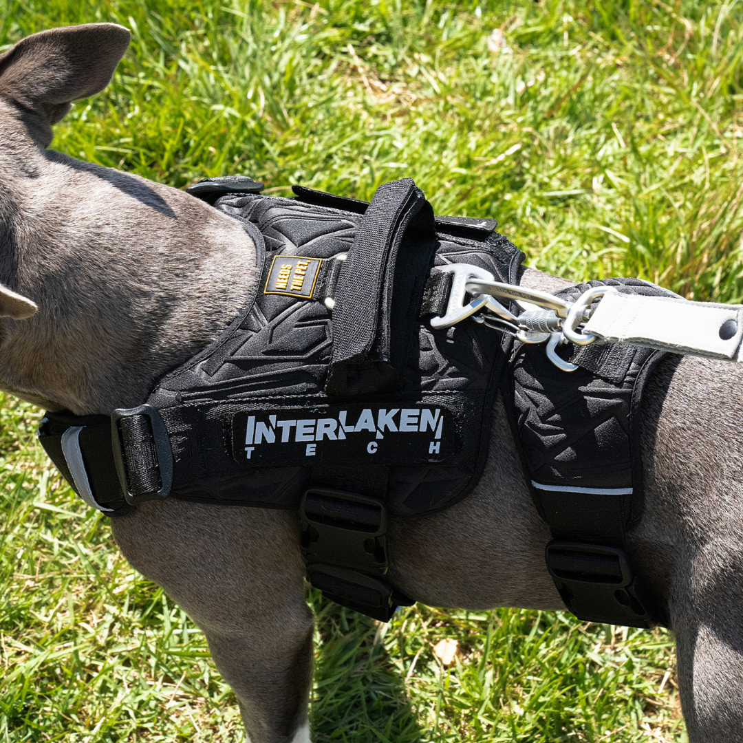No-Pull Tech Harness | Escape Proof