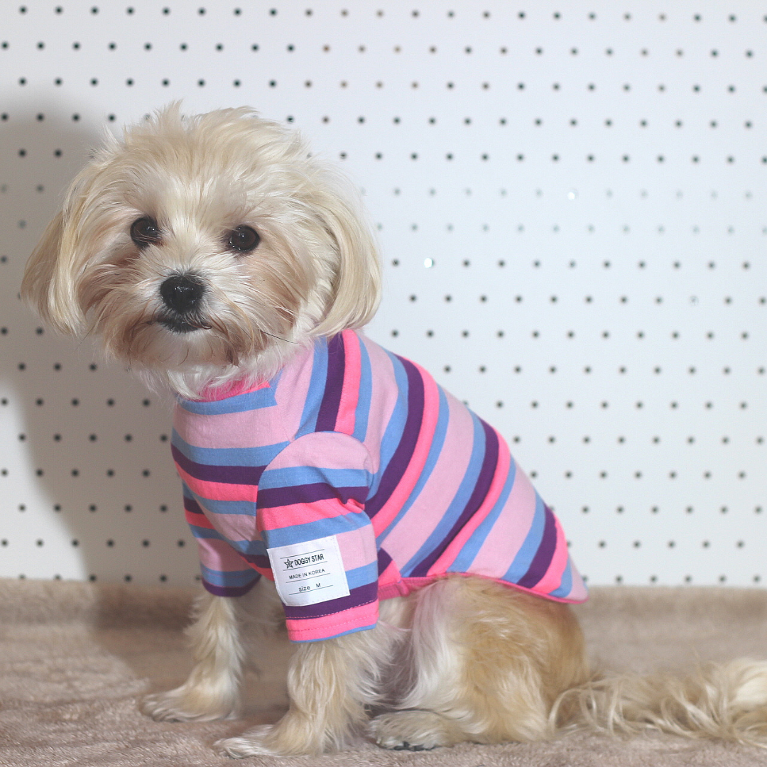 Candy Stripe T-shirt